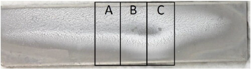 Figure 5. Example of test coupon fouled by whey protein solution (q = 11 kW/m2, T(bulk) = 60 °C, Tw,clean = 90 °C, Tw = 96 °C). Dimensions 20 × 80 mm2. Regions A, B and C indicate where gauging has been performed. The thermocouple measuring wall temperature is located behind region B.