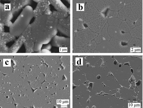 Figure 17. Scanning electron micrographs of samples sintered at 1650°C with different TiO2 content: (a) no TiO2, (b) 1 wt% TiO2, (c) 2 wt% TiO2, and (d) 3 wt% TiO2 [Citation61].