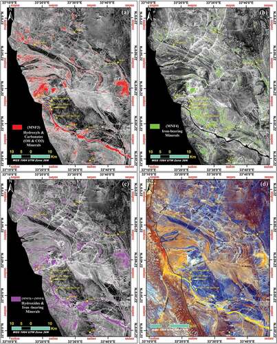 Figure 6. (a) Extraction of hydroxyl-bearing and carbonate minerals by thresholding MNF3. (b) Extraction of iron oxide minerals by thresholding MNF4. (c) Extraction of hydroxides and iron oxide minerals by thresholding MNF3 + MNF4 image. (d) Crosta alteration image, FCC image of MNF3, (MNF3+ MNF4) and MNF4 respectively as RGB.