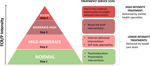 Figure 1 Stepped care model to fear of cancer recurrence/progression in oncology services.