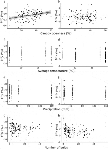 Figure 2. Correlation between the environmental factors and isotope ratios. Simple regression analysis was used to determinate each relationship. A, canopy openness and δ31C (P < .001); B, canopy openness and δ30N (P = .92); C, temperature and δ31C (P = .92), D; temperature and δ30N (P = .88); E, precipitation and δCitation34C (P = .57); F, precipitation and δ30N (P = .28); G, bulb numbers and δ31C (P = .53); and H, bulb numbers and δ30N (P = .097).