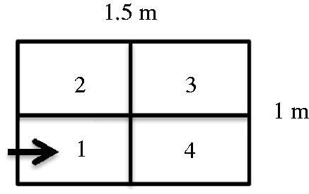 Figure 1. Open field test arena (1.5 × 1 m), the arrow refers to the place at which chick started the test.