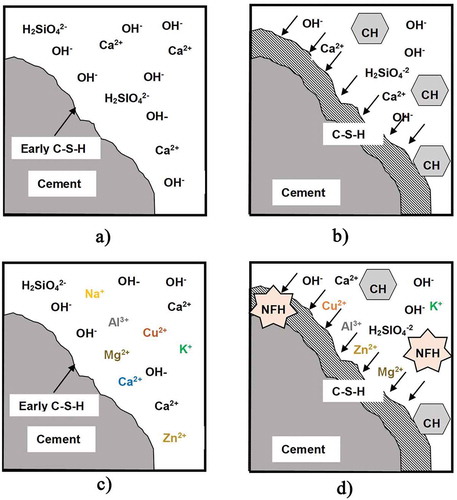 Figure 1. Fundamental process of cement hydration with WTE BA (a) the dissolution of cement grain in water at the initial stage, (b) the nucleation of C-S-H and the crystallization of CH, (c) the dissolution of cement grain and WTE BA in water at the initial stage, and (d) the nucleation of C-S-H and the crystallization of CH and the new formation of hydrates (NFH)