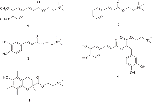 Figure 3.  The synthesized choline ester derivatives of: 3,4-dimethoxycinnamic acid (1), cinnamic acid (2), caffeic acid (3), rosmarinic acid (4), and trolox (5).