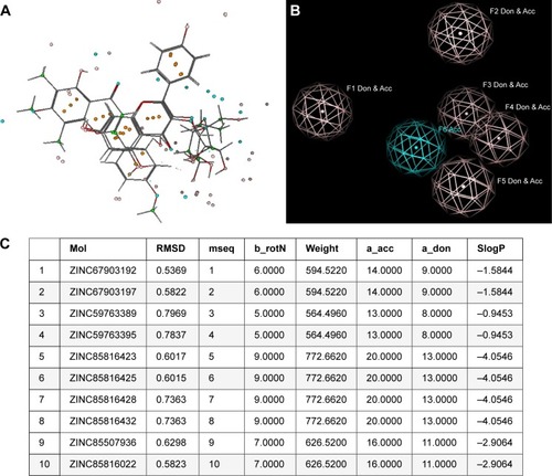 Figure 4 (A) Structural alignment of compounds 1–3 depicted with pharmacophore features; (B) three-dimensional pharmacophore features generated from complex of human growth factor receptor-2-compound 2; and (C) the retrieved best 10 hits and their RMSDs with compound 2.