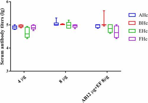 Figure 2. Serum antibody titer in mice immunized with TBV in PB buffer with different antigen concentrations. The final antigen concentrations are 40 µg/ml for each antigen, 80 µg/ml for each antigen, and 120 µg/ml of type A/B antigen combined with 80 µg/ml of type E/F antigen. The injection dose is 100 µl per mice for each preparation. Therefore, the antigen dose is given in these immunization group. Serum samples from individual mice of each group (n = 10) were collected after two immunizations and specific antibody titers were measured by ELISA. Serum sample from individual mice sere assayed and the geometric mean titer (GMT) was calculated for each group.