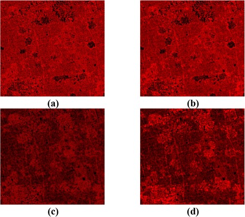 Figure 3. Image filtering results obtained by (a) Frost filter; (b) Kuan filter; (c) SAR-BM3D filter; and (d) improved SAR-BM3D filter.