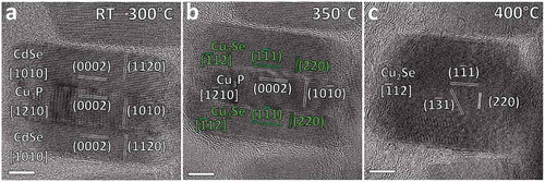 Figure 7. HRTEM images showing the thermal evolution of a single CdSe/Cu3P/CdSe nano-sandwich upon thermal annealing. (a) The initial structure is maintained from RT to 300ºC; (b) at 350ºC the CdSe cannot be observed anymore in the lateral domains and is substituted by Cu2Se domains; (c) at 400ºC even Cu3P cannot be observed anymore in the central domain and the sole Cu2Se phase can be observed in the newly formed single crystal. Scale bars correspond to 5 nm. Reprinted with permission from [Citation30]. Copyright [2013] American Chemical Society.