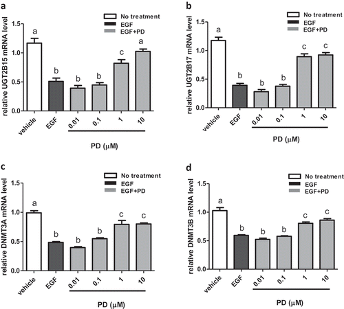 Figure 1. EGF mediated down regulation of UGT2B15, UGT2B17, DNMT3A and DNMT3B expression is reversed by EGFR inhibitor, PD168393 (PD). LNCaP cells were treated for 24 h with vehicle (DMSO), EGF and EGF+PD at concentrations indicated in the figure. mRNA was extracted and quantitated using RT-PCR as described in materials and methods. Statistical analysis was performed using one-way ANOVA followed by Tukey’s post hoc test. The mRNA levels are reported as the mean ± SEM of 3 independent experiments, each performed in triplicate. Means that do not share letters are significantly different from each other. (a) Effect of EGF and PD168393 on UGT2B15 expression. (b) Effect of EGF and PD168393 on UGT2B17 expression (c) Effect of EGF and PD168393 on DNMT3A expression. (d) Effect of EGF and PD168393 on DNMT3B expression. Vehicle = Control