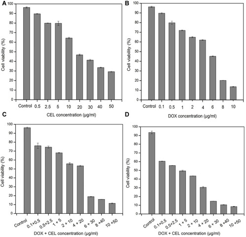 Figure 4 Cytotoxicity against MCF/ADR human breast cancer cells treated with CEL lipo (A), DOX lipo (B), DOX/CEL lipo (C) and targeting lipo (D). Data are reported as the mean ± standard deviation (n = 3).