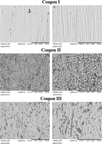Figure 12. Micrographs of SEM (2000× and 4000×) of carbon steel AISI 1020 without immersion in any medium (Coupon I); in corrosive medium H2SO4 1.0 mol L−1 in the absence of the extract in ethanol of the plant species for 24 h at 30°C (Coupon II); in corrosive medium H2SO4 1.0 mol L−1 in the presence of the plant extract in ethanol species at 1000 ppm for 24 h at 30°C (Coupon III).
