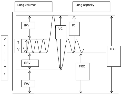 Figure 2 Relationship between lung volumes and lung capacities.