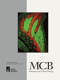 Cover image for Molecular and Cellular Biology, Volume 37, Issue 2, 2017