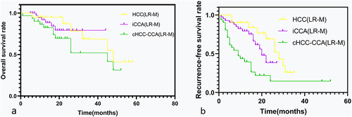 Figure 3 Recurrence-free survival and overall survival in patients with single primary liver cancer categorized as LR-M with tumor size >30 mm. Kaplan–Meier curves for overall survival (a) and recurrence-free survival (b) in LR-M with tumor size >30 mm according to pathologic diagnosis.