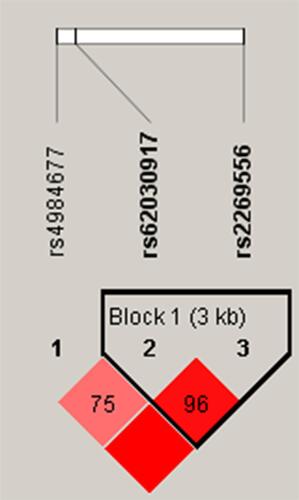 Figure 1 In patients with unilateral lesions, LD plots containing three SNPs from RAB40C.