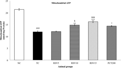 Figure 5. Effect of rosuvastatin and piracetam on mitochondrial ATP. Data are presented as mean ± SEM for six rats in each group. ###p < .001 vs. TC group. ***p < .001, **p < .01, *p < .05 vs. TC group. $$$p < .001, $p < .05 vs. RSV5 group.