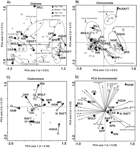 FIGURE 4. Principal components analysis (PCA) for the first two ordination axes showing differences in species assemblages between top and bottom sedimentary intervals for the 13 study sites for (A) diatoms, (B) chironomids, and (C) cladocerans. The length and direction of the arrows between top and bottom samples indicate the magnitude and direction of change in the biological indicators for each site. Numbers in italics represent the position that each taxon plots within the species ordination plots and correspond to taxonomic names listed in Appendix Table A2. For ease of interpreting the PCA species figures, ellipses were drawn around distinct groupings of taxa for (A) diatoms and (B) chironomids. Pre-disturbance samples were plotted passively in the ordination. (D) PCA of measured environmental variables for the 13 study sites.