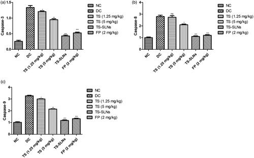 Figure 9. Exhibited the level of apoptosis marker in the normal and experimental group during the 8 weeks. (a) caspase-3, (b) caspase-8 and (c) caspase-9. Data are presented as the mean ± SD, *p < .05, **p < .01 and ***p < .001.