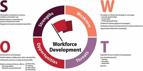 Figure 4. Some of the strengths, weaknesses, opportunities, and threats to the development of a sustainable expert inherited BDs care and research workforce identified by the WG6 Workforce Development subgroup.BD: bleeding disorder, WG: working group