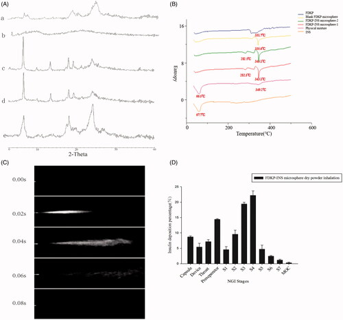 Figure 2. (A) X-ray diffraction patterns of (a) INS@FDKP-MPs dry powder inhalation; (b) insulin raw material; (c) FDKP before spray drying; (d) physical mixture; (e) FDKP after spray drying; (B) DSC diagrams; (C) delivery sequence of FDKP-INS microsphere dry powder inhalation during the actuation of self-made inhalation atomization device; (D) INS@FDKP-MPs dry powder inhalation aerosolization by NGI.