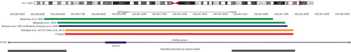 Figure 5. Reported deletions in the RYR2 gene. Ideogram of chromosome 1 showing the location of reported RYR2 gene deletions encompassing exon 3 (shown in green, blue, and yellow bars). The location of the proband’s exon 3 deletion is shown in red, and the location and extent of Alu family repetitive sequences are shown at the bottom of the figure. These graphics were redrawn from the UCSC genome browser by accessing the NCBI36/hg18 assembly (http://genome.uscs.edu/).