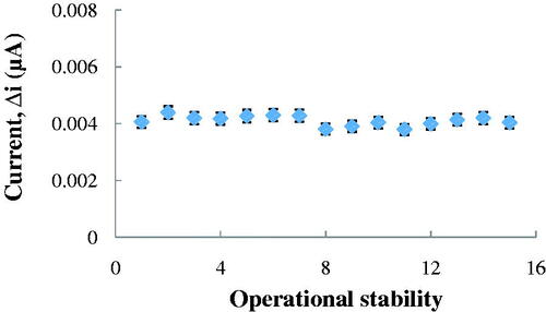 Figure 8. Operational stability of the biosensor in pH 8.0 phosphate buffer, at a +0.4 V operating potential, 25 °C.