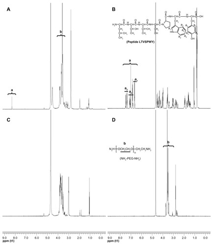 Figure 2 1H NMR spectra of LTVSPWY-PEG-CS (A), peptide LTVSPWY (B), CS (C) and NH2-PEG-NH2 (D). The important peaks are pointed out.Abbreviations: PEG, poly(ethylene glycol); CS, chitosan.