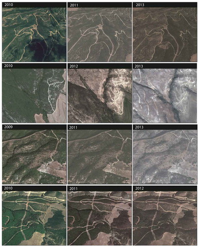 Figure 11. Examples of validation points retrieved from Google earth imagery.