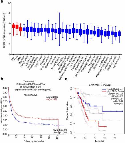 Figure 1. BRD4 could be a good target for Acute Myeloid Leukemia (AML). (a) BRD4 mRNA expression was characterized in different cancer cell lines (generated from the web site: Broad Cancer Cell Line Encyclopedia: https://depmap.org/portal/download/). High expression of BRD4 was observed in AML cell lines. (b) According to the R2 database (https://hgserver1.amc.nl/cgi-bin/r2/main.cgi, Bohlander-422-fRMA-u133a; source:GEO ID, gse37642), the overall survival rate of high BRD4 expression with AML is lower than that of patients with low BRD4 expression. (c)According to the GEPIA2 database (http://gepia2.cancer-pku.cn/#index), the overall survival rate of high BRD4 expression in patients with AML is lower than that of patients with low BRD4 expression.