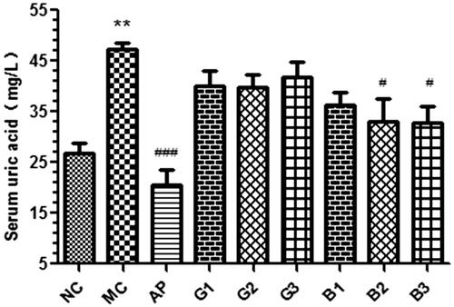 Figure 3. Effects of GTEs and BTEs on serum UA in hyperuricemic mice. N = 6 per group. NC: normal control; MC: model group; AP: allopurinol (5 mg/kg); G1, G2 and G3 mean 0.5, 1 and 2 g/kg GTEs; B1, B2 and B3 mean 0.5, 1 and 2 g/kg BTEs; **p < 0.01, compared with NC group; #p < 0.05, ###p < 0.001, compared with MC group.