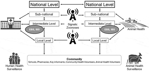 Figure 3. An optimal EBS system will have the capacity to collect information from diverse sources: points of entry and human, animal, and environmental health surveillance. A central epidmic intelligence hub capacity to receive, interpret, and visualise surveillance data from multiple sources and in multiple formats will be important to ensure prompt action for an event