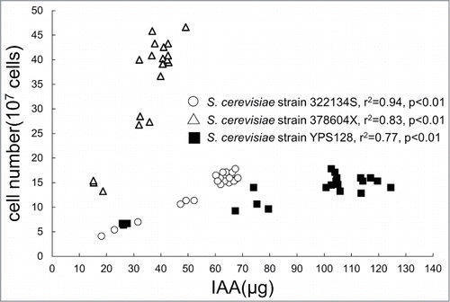 Figure 1. IAA accumulates in the media in a cell density-dependent manner. Different strains of brewer's yeast (Saccharomyces cerevisiae) were grown in yeast extract–peptone–dextrose (YPD) broth supplemented with 0.1% l-tryptophan, and the cell density was measured at OD600.