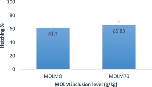 Figure 5. Effect of MOLM inclusion level on egg hatchability of Potchefstroom Koekoek hens.