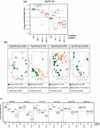Figure 3. Effect of peroxide-killed P. gingivalis (PK Pg) on living P. gingivalis (Pg) cells at different live : PK P. gingivalis cells ratios (PK; 1:10, PK+; 1:50 and PK++; 1:100): (a); growth necrotrophic response of live cells to PK P. gingivalis (PK Pg) cells, represented as the change in the Log10 values of the live cells than the starting values (Δ Log10) (b); beta diversity of live P. gingivalis (Pg) cells grown in presence of heat-killed P. gingivalis cells (HK Pg) or different concentrations of PK P. gingivalis (PK Pg) cells, compared to corresponding live P. gingivalis cells grown in only CM. Each circle represents the phenotype of living P. gingivalis cells of an independent replicate, (c); necrotrophic response of periopathogens and cariogenic species towards PK P. gingivalis cells (live : PK ratio of 1:100), in CM and NF. * Indicates significant necrotrophic growth/survival, and # indicates significant less growth/survival, compared to the corresponding control conditions.
