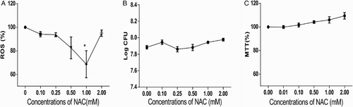 Figure 2 NAC treatment decreased ROS level in L. monocytogenes without affecting bacterial growth. (A) ROS in L. monocytogenes decreased with decreasing NAC concentration. The ROS level of 0 mM NAC-treated bacteria was set at 100%, and those of the other groups were divided by that of the 0 mM-treated group to normalize the data. One-way ANOVA was used to perform statistical analysis, *P < 0.05. (B) CFU of L. monocytogenes was not altered when treated with NAC. CFU of each group was transformed to log CFU. (C) MTT assays suggested no considerable changes in bacterial activity under NAC treatment. The absorbance data at 570 nm of each group were normalized with same method used in (A) and (B).