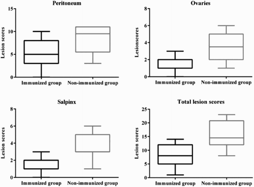 Figure 2. Individual macroscopic lesion scores obtained 48 h after i.p. infection with G. anatis in hens. The following parameters were scored; in the peritoneum (i) inflammation (ii) amount of exudate and (iii) transparency of peritoneum, in the ovaries (i) increased vascularization (ii) purulent exudate and (iii) regression of follicles, and in the salpinx (i) increased vascularization and (ii) purulent exudate. Scores were given according to severity, with a minimum score of 0 and a maximum score of 2–5 depending on the parameter. The total lesion score is the sum of all scores given to a hen.