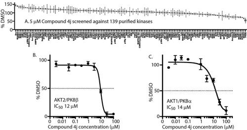 Figure 2. 4j exhibits biochemical inhibitory activity against AKT2 (A) Kinase profiling of 4j at 5 μM was carried out against the panel of 139 kinases at the International Centre for Protein Kinase Profiling (http://www.kinase-screen.mrc.ac.uk/). The IC50 value of 4j was recorded in vitro using purified AKT2 (B) and AKT1 (C) over different 4j concentrations.