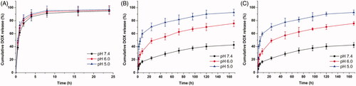 Figure 4. (A) In vitro drug release kinetic profiles of (A) DOX-loaded MSNs; (B) DOX-loaded MSNs@PDA; (C) DOX-loaded MSNs@PDA-PEP at different pH values.