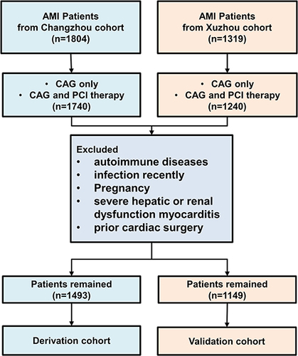 Figure 1 Workflow of the inclusion and exclusion of the study subjects.