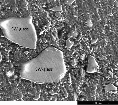 5 SEM analysis of polished surface of SW-glass based paste (after 28 days of curing)