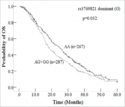 Figure 1. Kaplan-Meier curve of overall survival (OS) according to rs3769821 of CASP8 The patients with AA genotype of rs3769821 had longer survival than patients with AG or GG genotype of rs3769821.