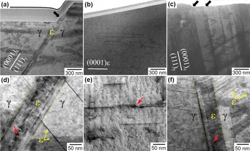 Figure 5. STEM images showing microstructures of as-EBM built (a and d), heat-treated (b and e) and reverse-transformed (c and f) samples after stress-controlled fatigue to failure; (d–f) magnified view of (a–c). The incident beam is parallel to {111}γ//(0001)ϵ.