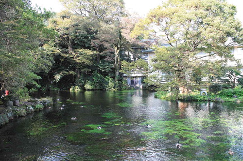 Figure 3. Ritual pond formed from Mt Fuji’s snow-melting water at Fujisan Hongu Sengen Taisha shrine in Fujinomiya city. It is no longer allowed to enter the pond.(Source: author)
