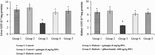 Figure 8. Effect of galangin on the activity of GST in the liver and kidney of normal and STZ-induced diabetic rats. Values are given as means ± SD from six rats in each group. Group 1 is significantly not different from group 2 (a, a) (P < 0.05). Group 4 and 5 are significantly different from group 3 (b vs. c, a) (P < 0.05). U* = µg of CDNB conjugate formed/minute.