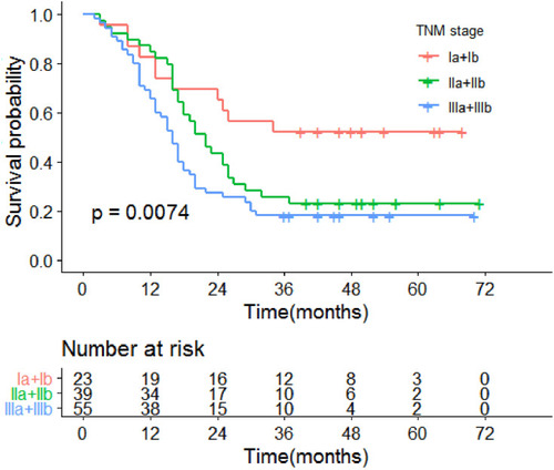Figure 2 Kaplan–Meier estimates of overall survival for pathological TNM stage.