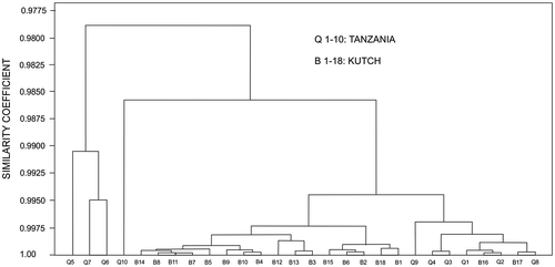 Figure 8. Cluster analysis of Type-2 and Tanzania samples suggesting close similarities of most specimens from the two regions.