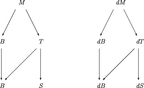 Figure 5. The chain rule diagram when changing only one of two variables, in this case expressing the magnetization M in terms of the magnetic field B and either the temperature T or the entropy S.