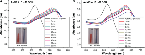 Figure S5 Ultraviolet-visible absorbance spectra for stability of as-prepared gold nanoparticles in 5 mM and 10 mM glutathione solution (samples show as prepared [AP] and in GSH after 60 minutes).Abbreviations: AuNPs, gold nanoparticles; PEG, poly(ethylene glycol).