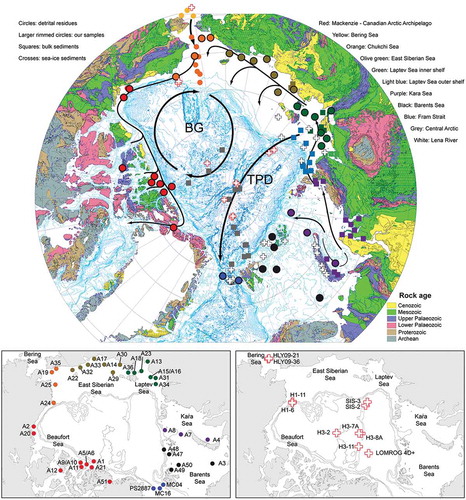 Figure 1. Lithologic map of the Arctic (modified from Harrison et al. Citation2008) showing shelf-sediment sample locations. The Beaufort Gyre and Trans-Polar Drift are abbreviated as BG and TPD, respectively.