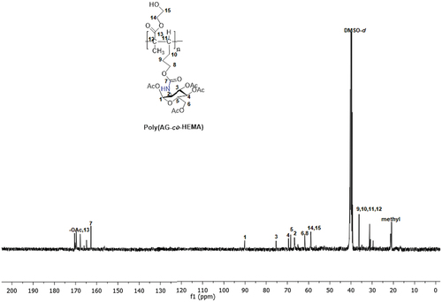 Figure 9. The 13C NMR spectrum of the copolymers (Poly(ag-co-HEMA)).
